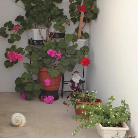 Kovacic Apartment Hvar Town